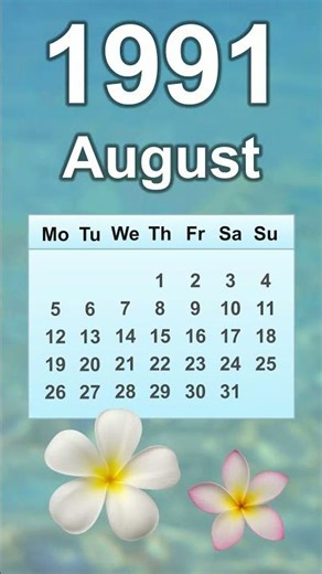 August 1991 Calendar