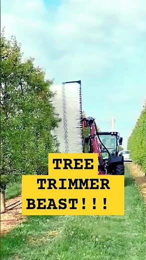Modern Tree Pruning Machine in Action – Efficient Farming Technology