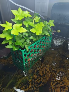 3D Printed Large Rectangular Aquarium Planter: Rectangular Aquaponics Fish Tank Decor - Etsy