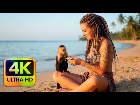 Chill Reggae Girl DJ Set | Sunset Vibes & Looped Tropical Mix 4K
