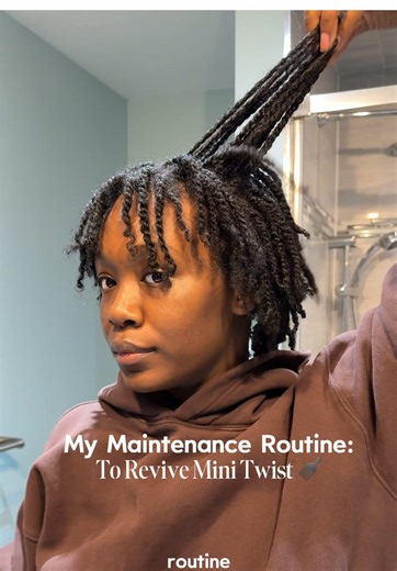 Mini Twist Maintenance Routine for 4C Hair