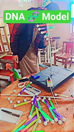 DNA 🧬 Model #dna #model #science #project #biology #presentation #preparation