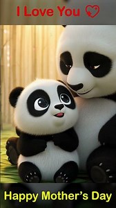 Panda Baby Tells Mom “I Love You” 💖 | Mother’s Day