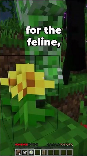 The Feline Origin Explained #minecraft #minecraftorigins