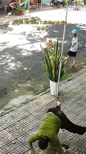 Bé Na kiểu: T đã làm gì đâu 😂 #haihuoc #giaitri #shorts