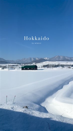 らんのおでかけ日記 ⌇ 旅 ・スポット・ホテル・グルメ on Instagram: "北海道は夏から好きになったけど、冬も比べられないくらい素敵。❄️ 雪まつりにまだ行ったことないから行ってみたい！⛄️ 冬の北海道でおすすめあったら教えてー！ #北海道 #冬の北海道 #北海道旅行"
