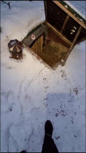 Exploring a Snowy Shelter: A Winter Adventure