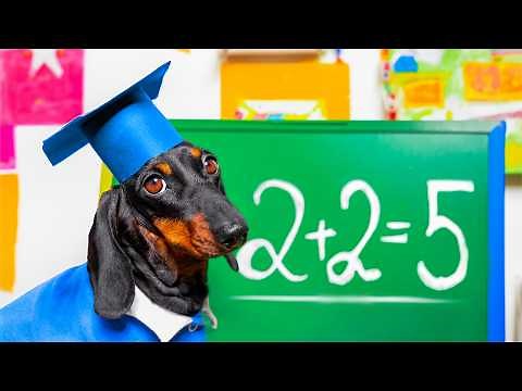 Puppy's First Day at School: Will He Face Bullies?
