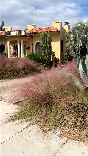 🌿 Quick Peek at a Stunning Florida Garden