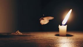 White Moth Flying and Circling Near Burning Candle Flame, Hovering Over Wooden Surface within Dark, Atmospheric Stock Footage - Video of curiosity, minimal: 395402998