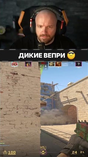 PLAN 999 CODE WILD BOARS - Counter-Strike 2 #csgo #ксго #counterstrike #стрим