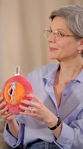 4.9M views · 33K reactions | Votre corps est un temple, unique et magnifique  #shorts | C'est la vie | Facebook