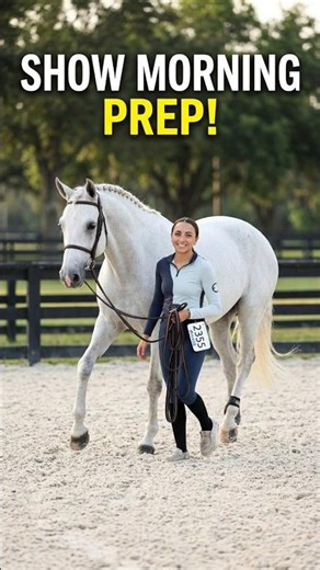 What goes into a show jumping morning routine #showjumping #equestrian