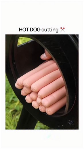 NexGenVideos on Instagram: "Hot dog cutting is governed by Structural Integrity and Surface-Area-to-Volume Ratio Theory, which dictates how heat penetrates the meat emulsion during cooking. In 2026, the "Spiral Cut" has become the culinary standard, as it increases the surface area exposed to direct heat, facilitating a more uniform Maillard reaction and creating deep grooves that trap condiments. Utilizing a Serrated Blade Technique prevents the compression of the protein-fat matrix, ensuring t