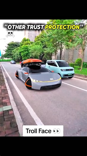 Understanding the Troll Face Meme Phenomenon