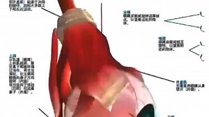 眼球转动靠6条肌肉，其中任何一条肌肉。麻痹，痉挛，松弛都会缠造成斜视