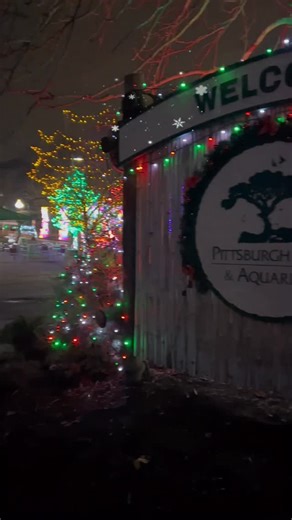 2.7K views · 105 reactions | The Christmas Star is shining bright at @pghzoo & Aquarium’s Wild Illuminations on select nights through January 11! ✨ Be sure to tag us if you spot our holiday lantern display! ⭐ | Eat'n Park | Facebook