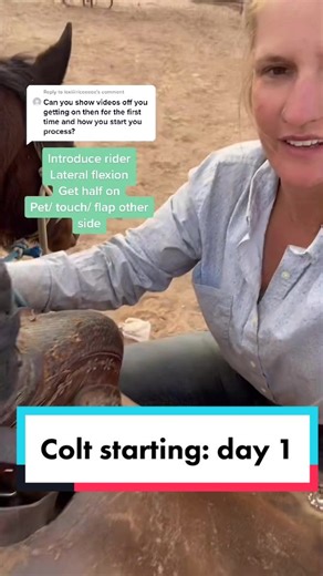 Colt Starting: Day 1 Training Guide