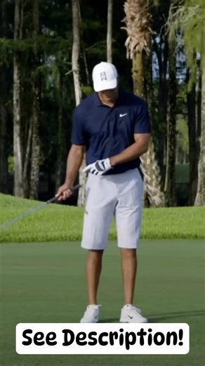 6K views · 16 reactions | DM us to get our new FREE guide to learn the three consistency secrets that are keeping you from playing your absolute best golf and helped Tiger Woods become the greatest and most consistent ball striker of all time! | RotarySwing.com | Facebook
