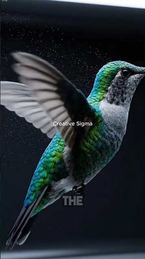 Hummingbirds' INSANE Flight Feats Are Going VIRAL