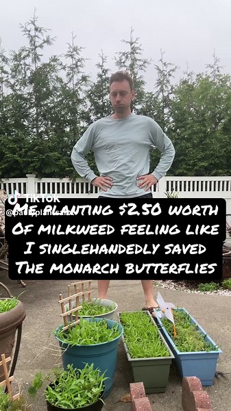 Monarch butterflies are one of the most recognizable pollinators in North America, known for the striking orange-and-black pattern that warns predators of their toxicity (a defense built from the milkweed they eat as caterpillars). Beyond their beauty, monarchs play a real ecological role: they pollinate wildflowers across their range, and their larvae depend entirely on milkweed, making them a kind of living indicator species. When monarch populations decline, it usually signals broader habitat