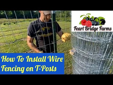 How to Install Welded Wire Fencing on T-Posts, Berry Patch Expansion