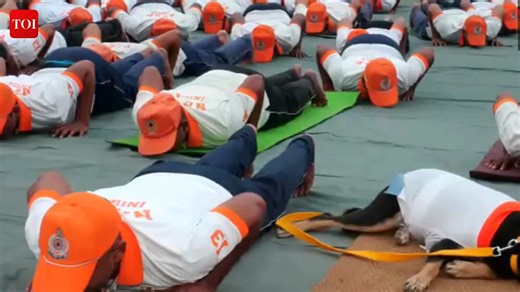 20K views · 141 reactions | Udhampur, J&K | Jimmy, an Indian pariah dog, trained by NDRF, performs #yoga along with them, as 13th battalion of NDRF celebrates International Yoga Day #InternationalDayofYoga #InternationalYogaDay | The Times of India | Facebook