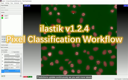 ilastik v1.2.4 | Pixel Classification Workflow