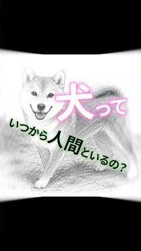 犬はいつから人間と暮らしていた？