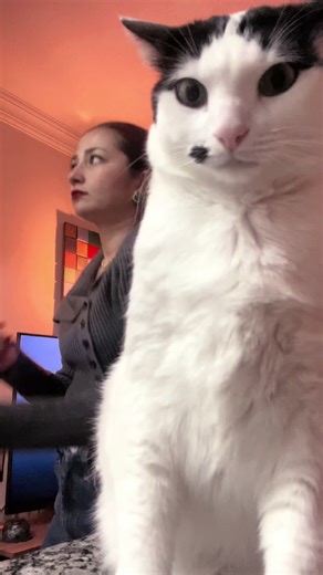 Hyperpigmentation: Tips for Coverage and Care