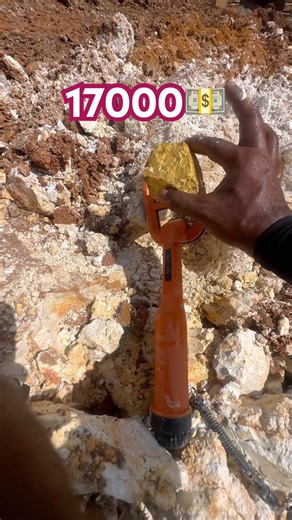 Amazing Gold Treasure. #metaldetecting #shorts