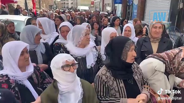 Meşa Gemlikê Jinên xwestin ji avahiya DEM Partiyê ya Wanê heta Parqa Mûsa Anter meşek girseyî li dar bixin rastî astengiya polîsan hatin. #ajansawelat #van