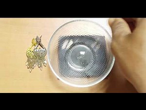 Gold Check || Gold and Fake Gold Test || Gold Test in Sulphuric acid and Nitric acid