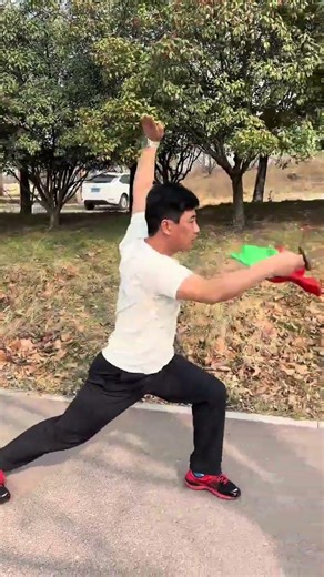 Master the Art of Jiuhe Quan: The Ultimate One-Sword Technique