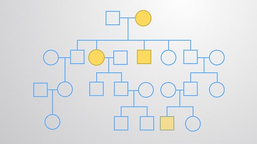 Video: Pedigree Analysis