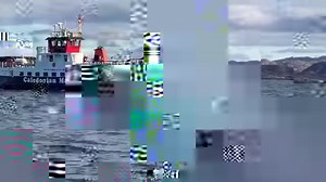 Our crew see many amazing wildlife in the water and seas around our network. This footage was shared with us last month by the fishing vessel Eilean Ban. It shows dolphins playing in front of the MV Loch Tarbert as she headed south at Ardnamurchan point to relieve the MV Loch Buie at Fionnphort 🐬 ⛴ #MarineAware #ThrowbackThursday | CalMac Ferries