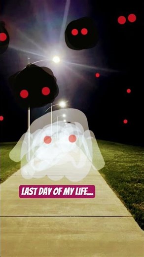 Last day of my life...