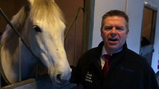 Dozens of riders and nearly 200 horses have died over past 5 years following incidents on the UK's roads. The British Horse Society have advice for safe driving past horses and riders. | BBC Breakfast