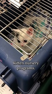 22K views · 2.2K reactions | Think about it: most shelters have no...