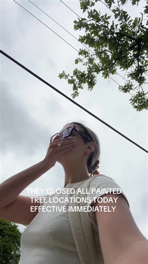 Painted Tree Boutiques Closes All Locations
