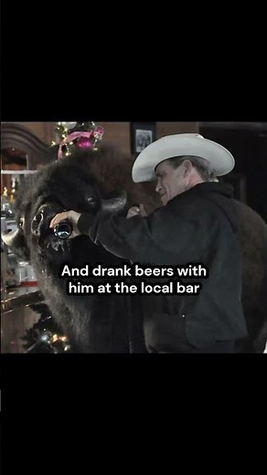 What A Weird Looking Dog | Jim Saunter: The Man Who Raised a Bison Like a Family Dog #funfact #story