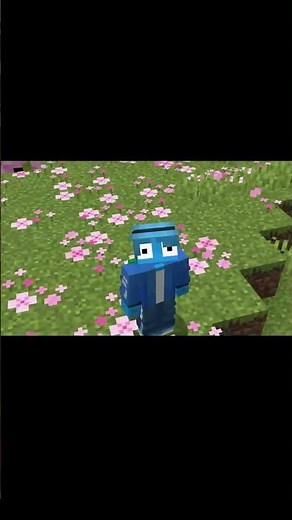 Minecraft's Newest SMP! (Applications Open!)