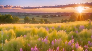 Abstract animation field of grass. Greens, lawn, meadow, grass, hay, dew, earth, flowers, wormwood, plant, sun, spring, lawnmower, smell, leaves, lawn. Generated by AI