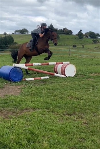 Encouraging a Pony's First Jump Experience