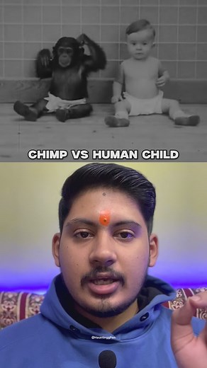 Jay Devtalla on Instagram: "Chimpanzee VS Human Child . . [chimpanzee,human,child,reel,story,realstory,explore,instagram,foryou,viral,animal,kellogefamily,experiment] #chimpanzee #chimp #human #child #story #realstory #explore #instagram #foryou #viral #animal #experiment #storytelling #reelsinstagram"