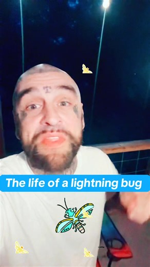 11K views · 576 reactions | The Life of a Lightning Bug  | Blake Martin | Facebook