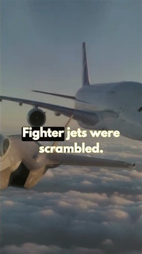 A Plane Landed with No One at the Controls... 😮😮 #shorts #viralshorts