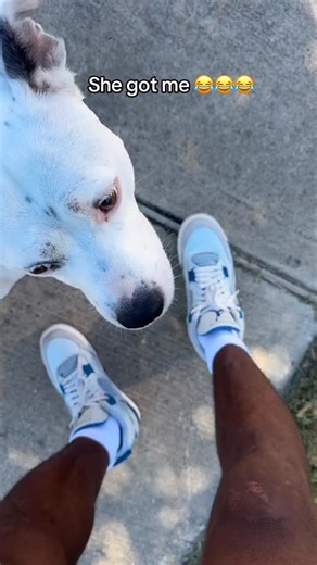 She cheated me in the race today | Roxy and Remi