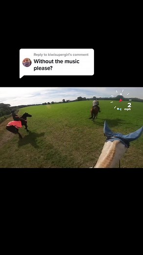 Horseback Riding Adventure in a Grassy Field