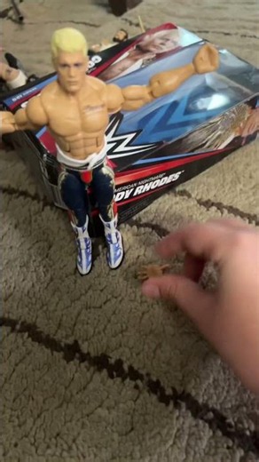 Unboxing Cody Rhodes